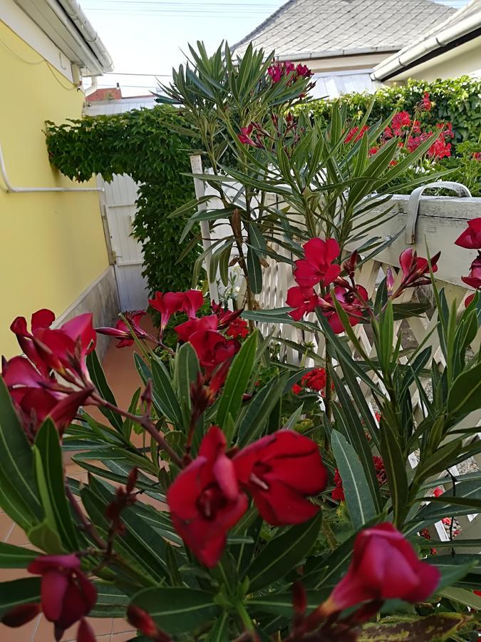 Castello Vendeg Es Apartmanhaz إغير المظهر الخارجي الصورة